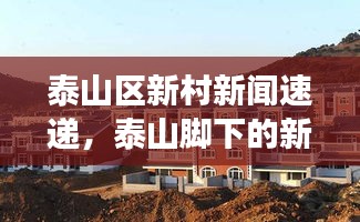东张西望 第2页