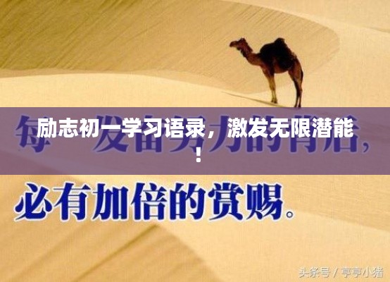 励志初一学习语录，激发无限潜能！