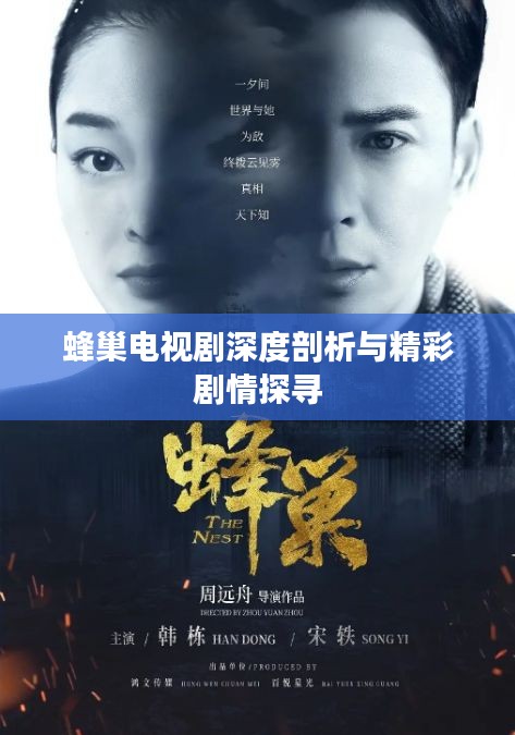 蜂巢电视剧深度剖析与精彩剧情探寻