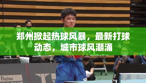 郑州掀起热球风暴，最新打球动态，城市球风潮涌