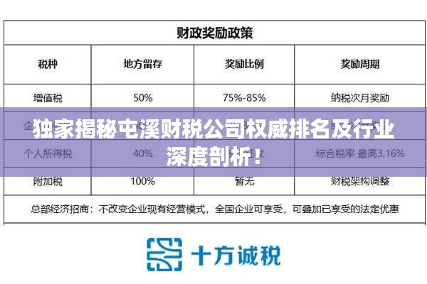 独家揭秘屯溪财税公司权威排名及行业深度剖析！