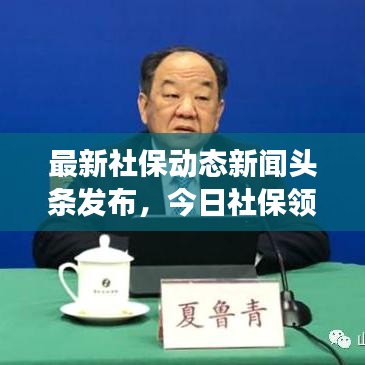 最新社保动态新闻头条发布，今日社保领域重磅消息速递