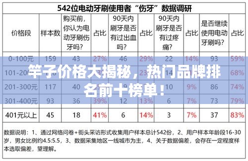 竿子价格大揭秘，热门品牌排名前十榜单！