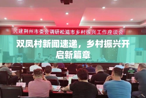 双凤村新闻速递，乡村振兴开启新篇章