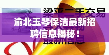渝北玉琴保洁最新招聘信息揭秘！