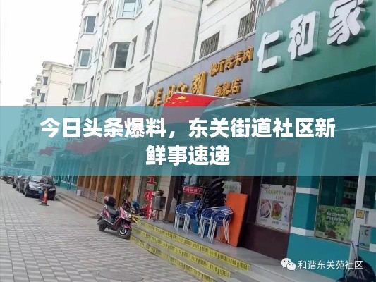 今日头条爆料，东关街道社区新鲜事速递
