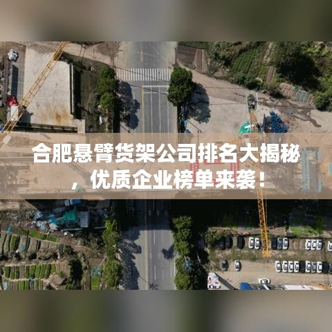 合肥悬臂货架公司排名大揭秘，优质企业榜单来袭！