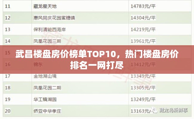 武昌楼盘房价榜单TOP10，热门楼盘房价排名一网打尽
