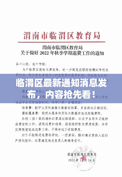 临渭区最新通知消息发布，内容抢先看！