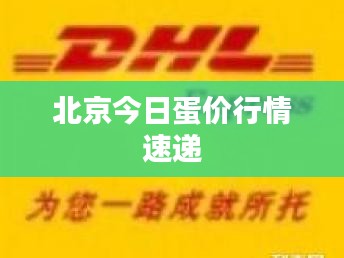 北京今日蛋价行情速递