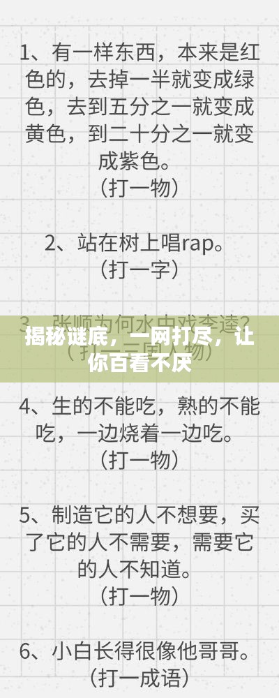 揭秘谜底，一网打尽，让你百看不厌