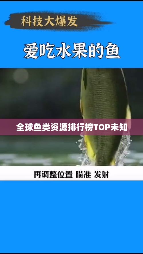 全球鱼类资源排行榜TOP未知
