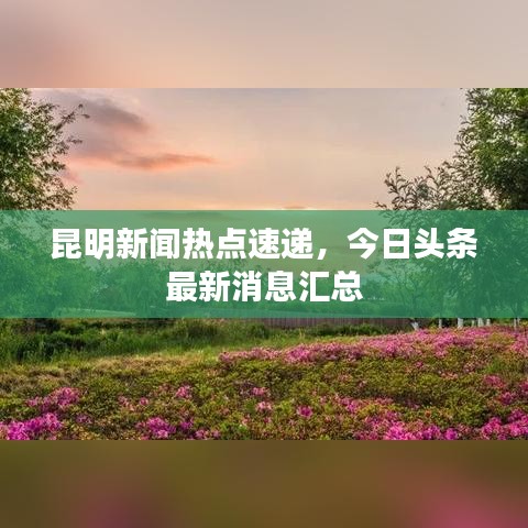 昆明新闻热点速递，今日头条最新消息汇总