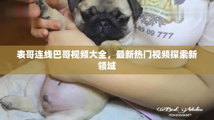 差强人意 第2页