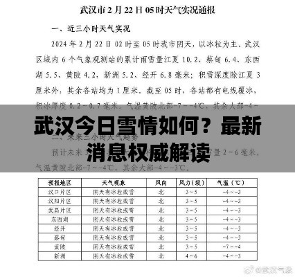 武汉今日雪情如何？最新消息权威解读