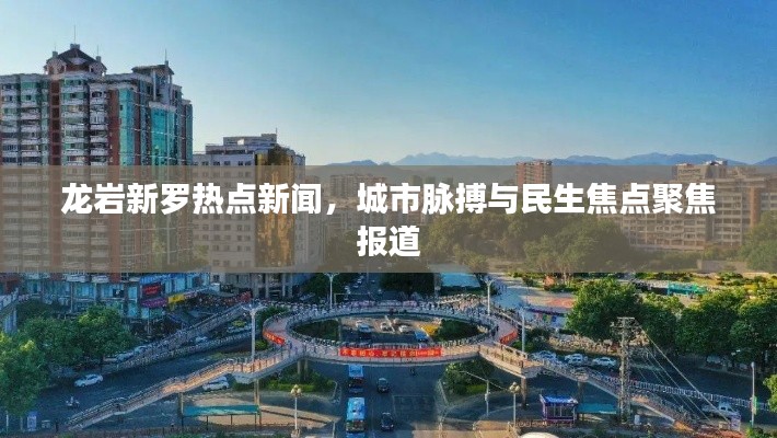 龙岩新罗热点新闻，城市脉搏与民生焦点聚焦报道