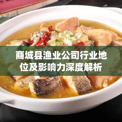商城县渔业公司行业地位及影响力深度解析