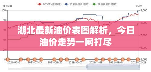 湖北最新油价表图解析，今日油价走势一网打尽
