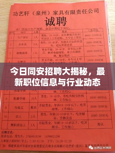 今日同安招聘大揭秘，最新职位信息与行业动态一网打尽！