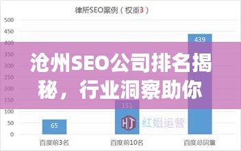 沧州SEO公司排名揭秘，行业洞察助你快速了解市场状况！