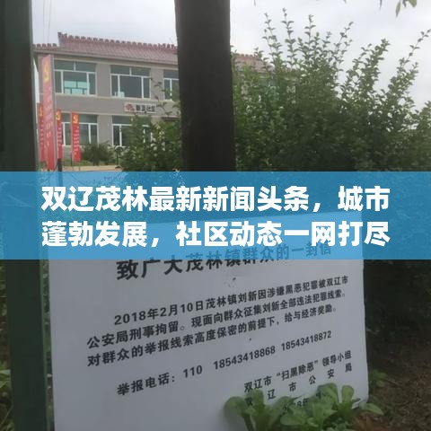 双辽茂林最新新闻头条，城市蓬勃发展，社区动态一网打尽
