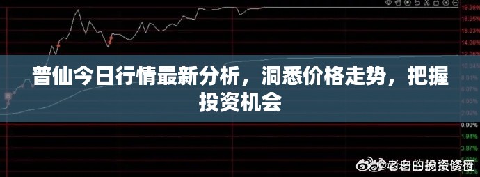普仙今日行情最新分析，洞悉价格走势，把握投资机会