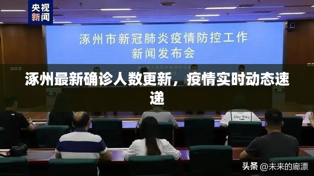 涿州最新确诊人数更新，疫情实时动态速递