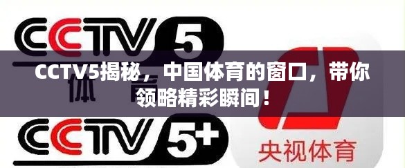 CCTV5揭秘，中国体育的窗口，带你领略精彩瞬间！