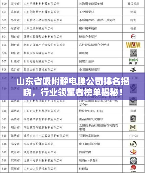 山东省吸附静电膜公司排名揭晓，行业领军者榜单揭秘！