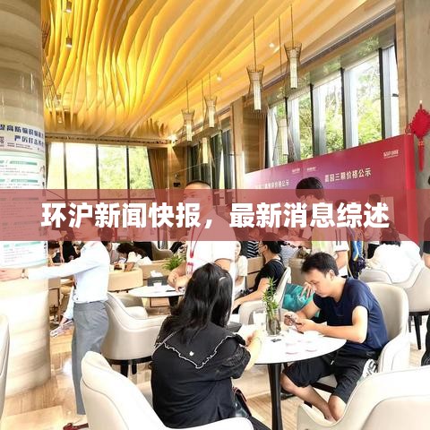 环沪新闻快报，最新消息综述