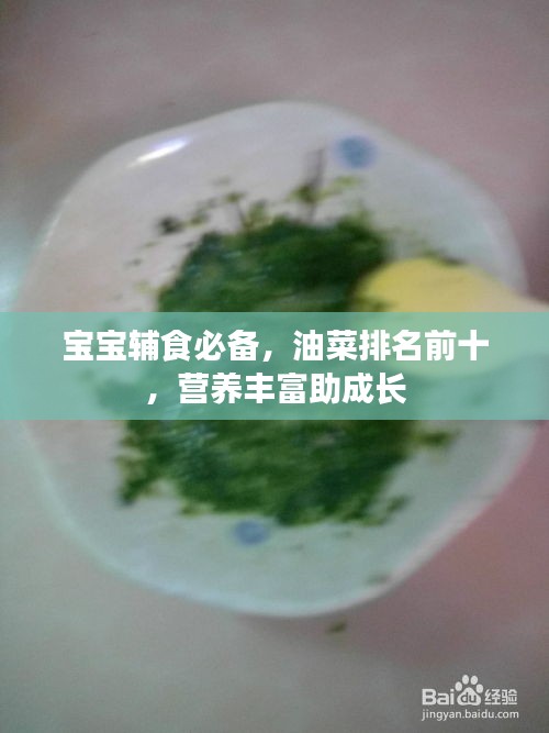 宝宝辅食必备，油菜排名前十，营养丰富助成长