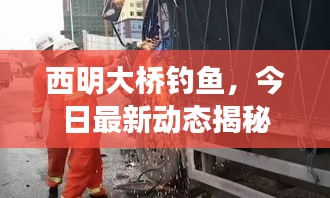 西明大桥钓鱼，今日最新动态揭秘