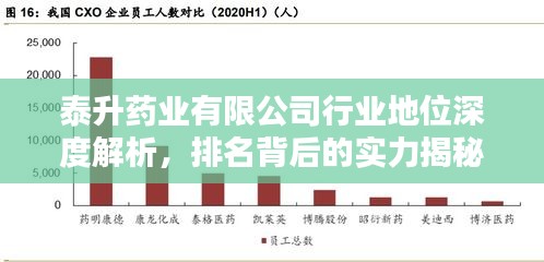 泰升药业有限公司行业地位深度解析，排名背后的实力揭秘