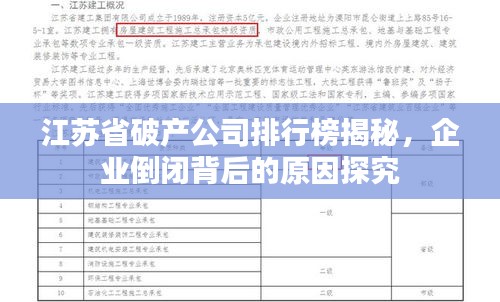 江苏省破产公司排行榜揭秘，企业倒闭背后的原因探究