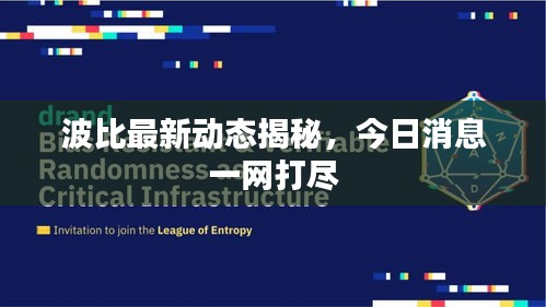 波比最新动态揭秘，今日消息一网打尽