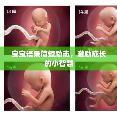 宝宝语录简短励志，激励成长的小智慧