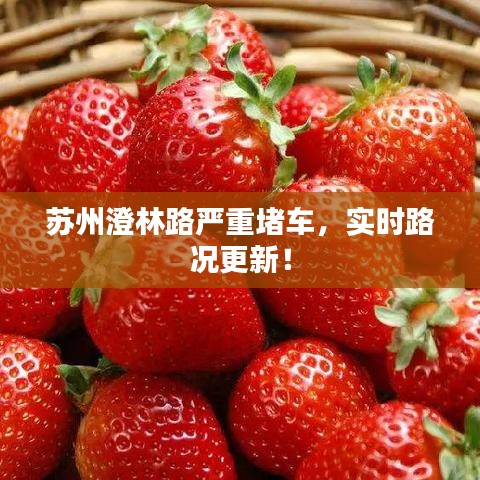 一花独放 第2页