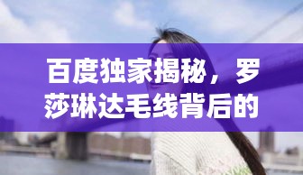 百度独家揭秘，罗莎琳达毛线背后的温暖故事