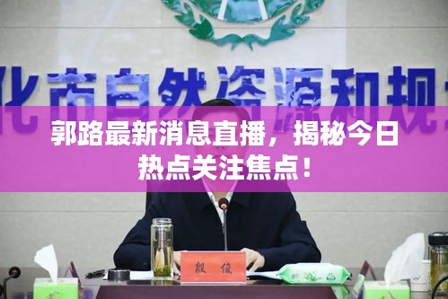 郭路最新消息直播，揭秘今日热点关注焦点！