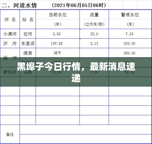 黑埠子今日行情，最新消息速递
