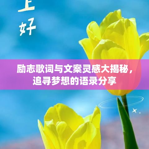 励志歌词与文案灵感大揭秘，追寻梦想的语录分享