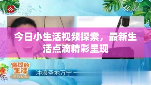 今日小生活视频探索，最新生活点滴精彩呈现
