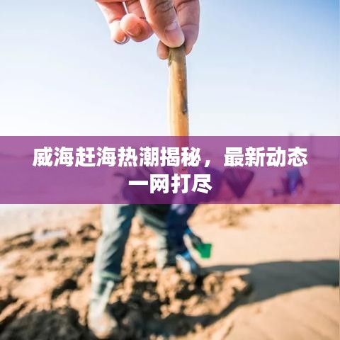 威海赶海热潮揭秘，最新动态一网打尽