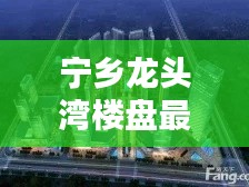 宁乡龙头湾楼盘最新价格动态揭秘！