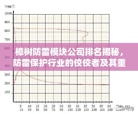 樟树防雷模块公司排名揭秘，防雷保护行业的佼佼者及其重要性解析