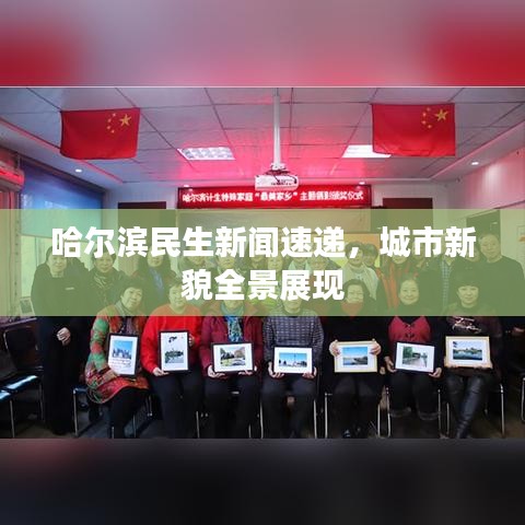 哈尔滨民生新闻速递，城市新貌全景展现
