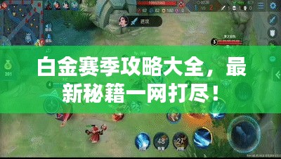 白金赛季攻略大全，最新秘籍一网打尽！