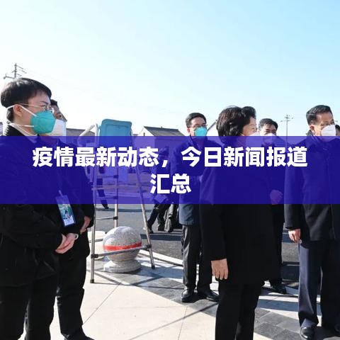 疫情最新动态，今日新闻报道汇总