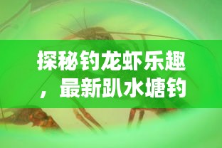 虎背熊腰 第2页