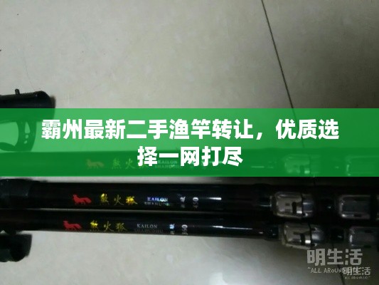 霸州最新二手渔竿转让，优质选择一网打尽